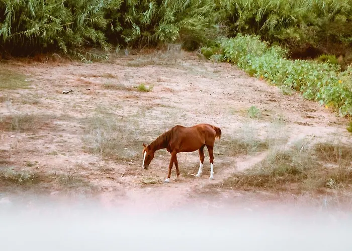 Daire Chania Grand Nature